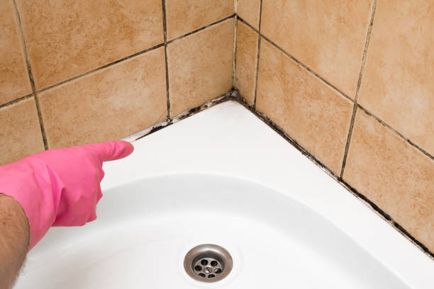 Best Mold Cleaning Services  in Farwell, TX